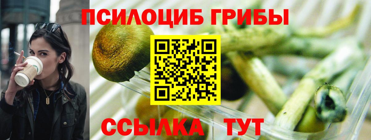 Отрадный  Псилоцибиновые грибы ЛСД  где купить   Вход с VPN 