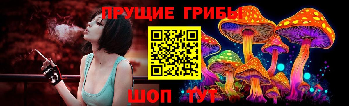 Галлюциногенные грибы GOLDEN TEACHER Отрадный