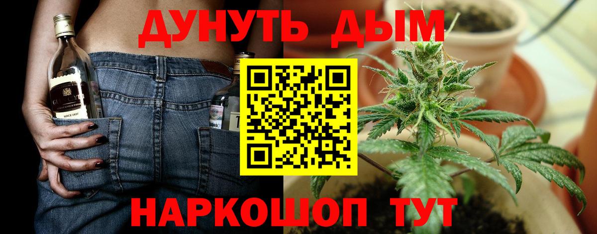 Конопля OG Kush Отрадный